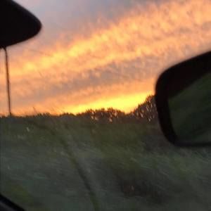 Meet your Posher, Conner